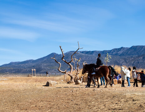 玉龙雪山下的游客和骏马