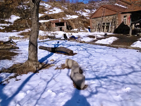 被雪覆盖的泥路