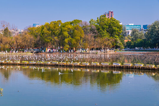 昆明翠湖公园