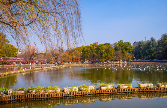 昆明翠湖公园