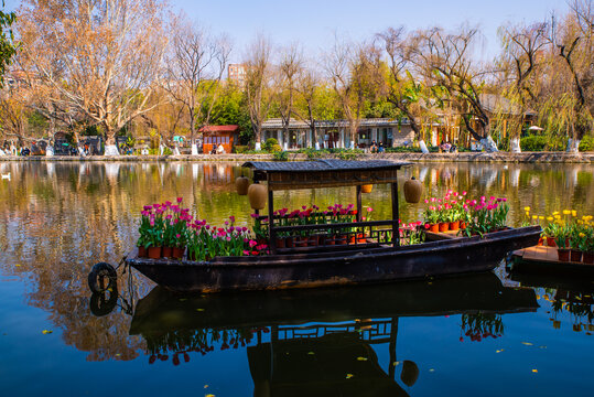 郁金香花船