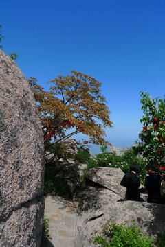 青岛崂山风光