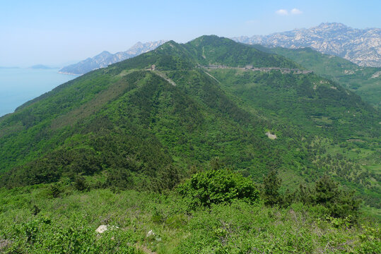 青岛崂山头春季风光