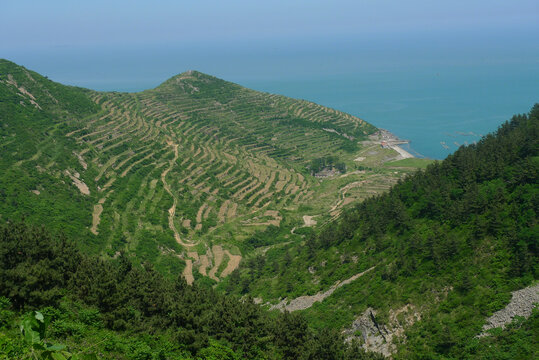 青岛崂山头春季风光