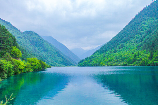 九寨沟犀牛海