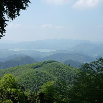 晴空无云的植被覆盖的山间