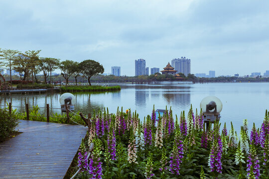 顺德顺峰山公园风光