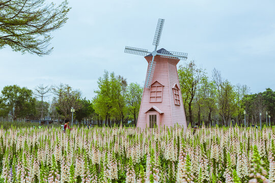 浪漫的荷兰风车