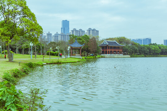 顺德顺峰山公园湖畔风光