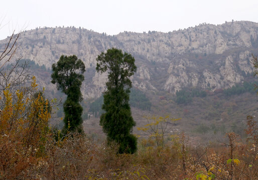 山岭山野