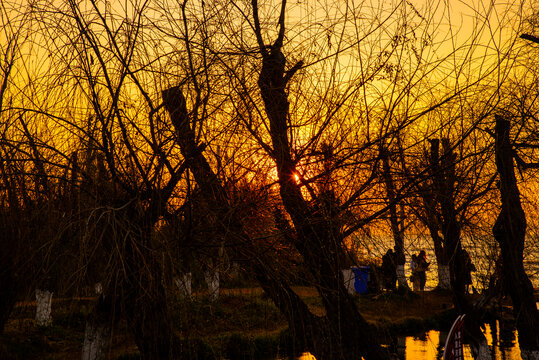 滇池日落景观