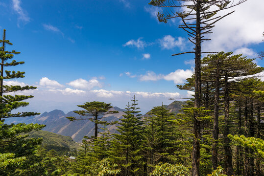 昆明轿子山风光