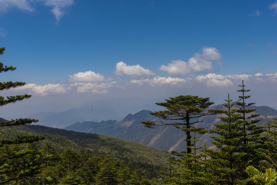 昆明轿子山风光