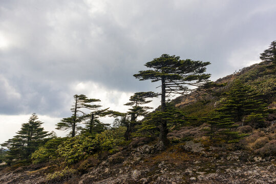 高山风光