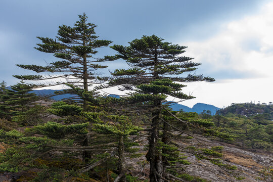 高山风光