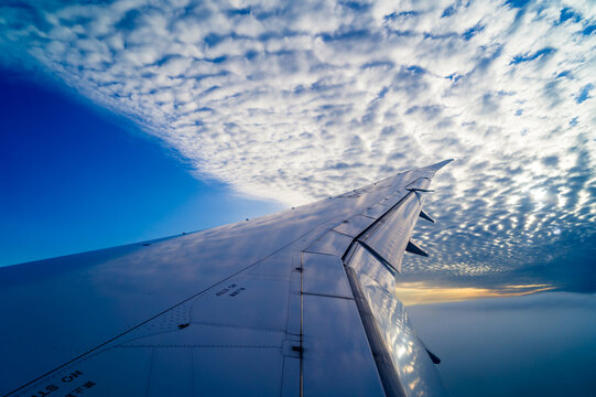 高空机翼