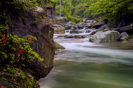 小溪流水山涧瀑布绿色森林山泉