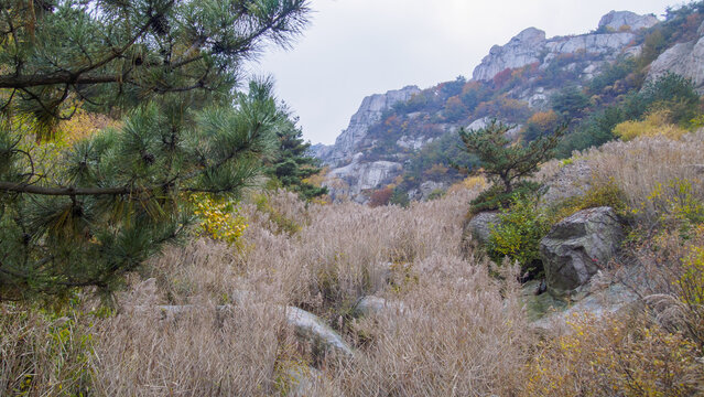 青岛崂山长涧峡谷风光