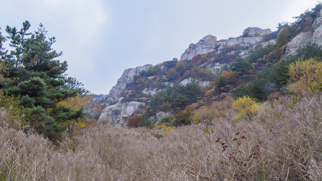 青岛崂山长涧峡谷风光