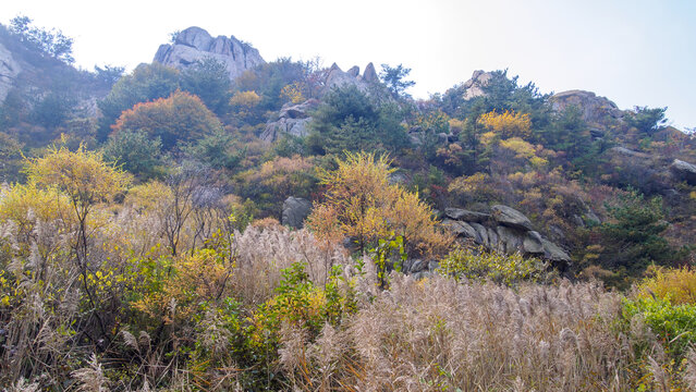 青岛崂山风光