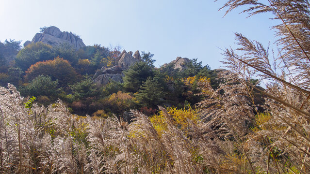 青岛崂山风光