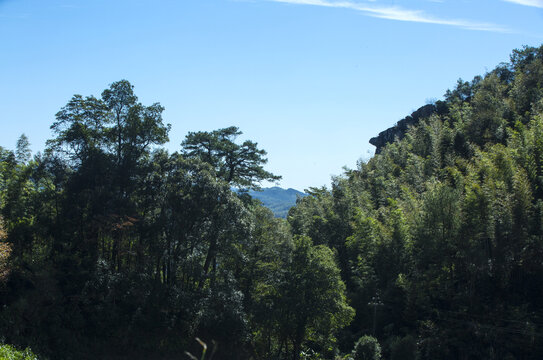 狮子山森林公园金鸡迎客