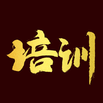 培訓(xùn)