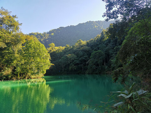 原始森林边上的河流