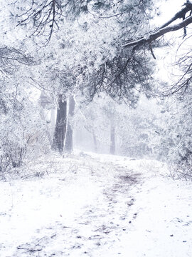 金紫尖雪景