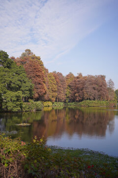 广州流花湖公园