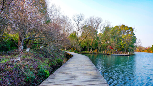 湖上棧道