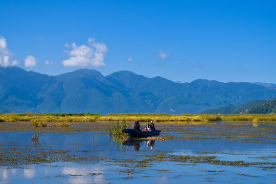 泸沽湖草海