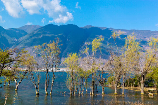 泸沽湖草海