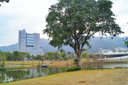 福州旗山湖公园