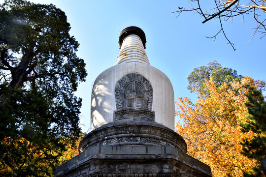 大觉寺白塔