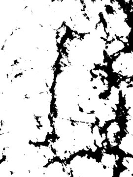 黑白水墨畫(huà)