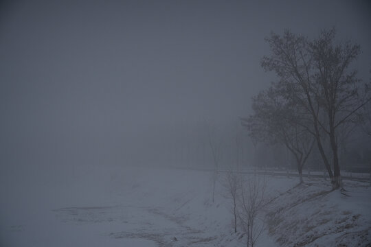 雪后大雾清晨