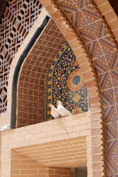 伊斯兰建筑中的鸽子