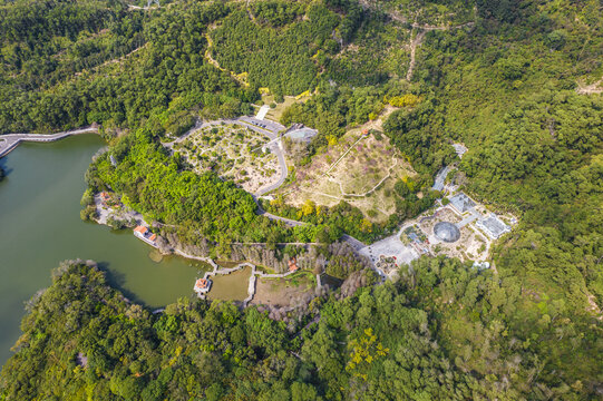 深圳仙湖植物园