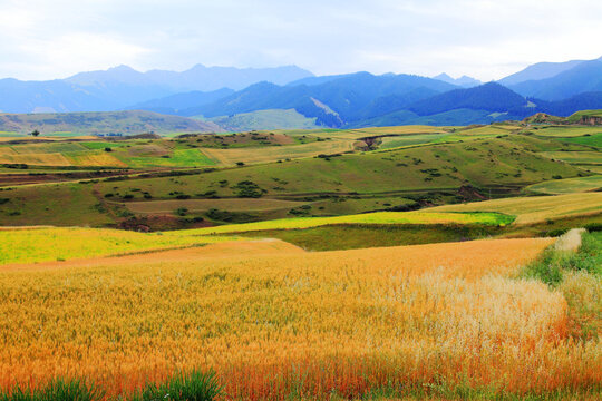 多彩山野