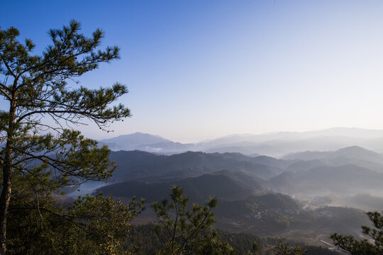 狮子山森林公园晨雾