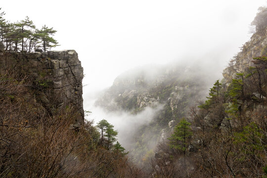 庐山云雾高清大片