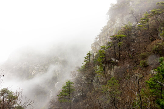 庐山云雾高清大片