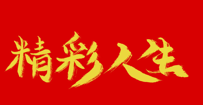 精彩人生