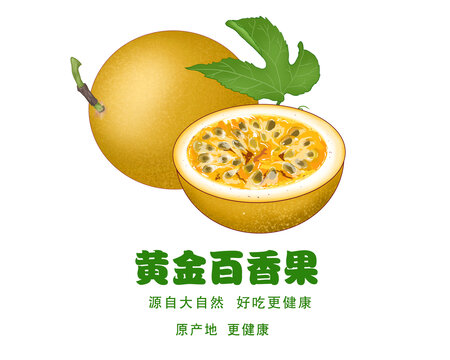 手绘百香果