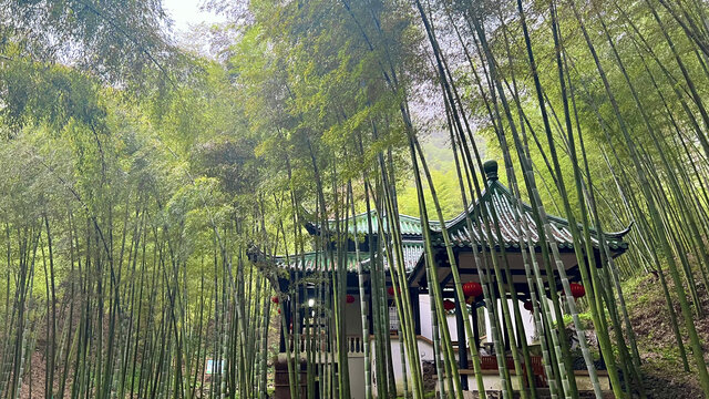 宜兴竹海风景区