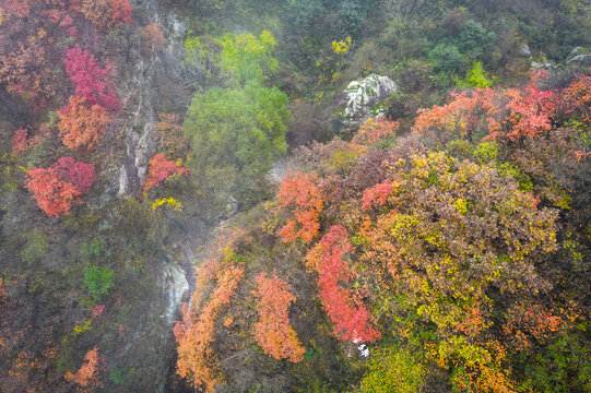 秦岭秋景