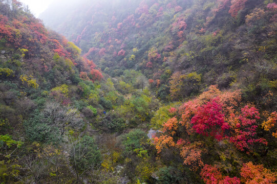 秦岭秋色