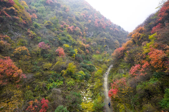 秦岭山色