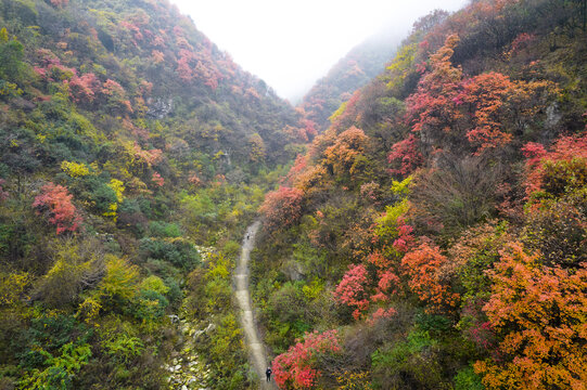 秋色秦岭